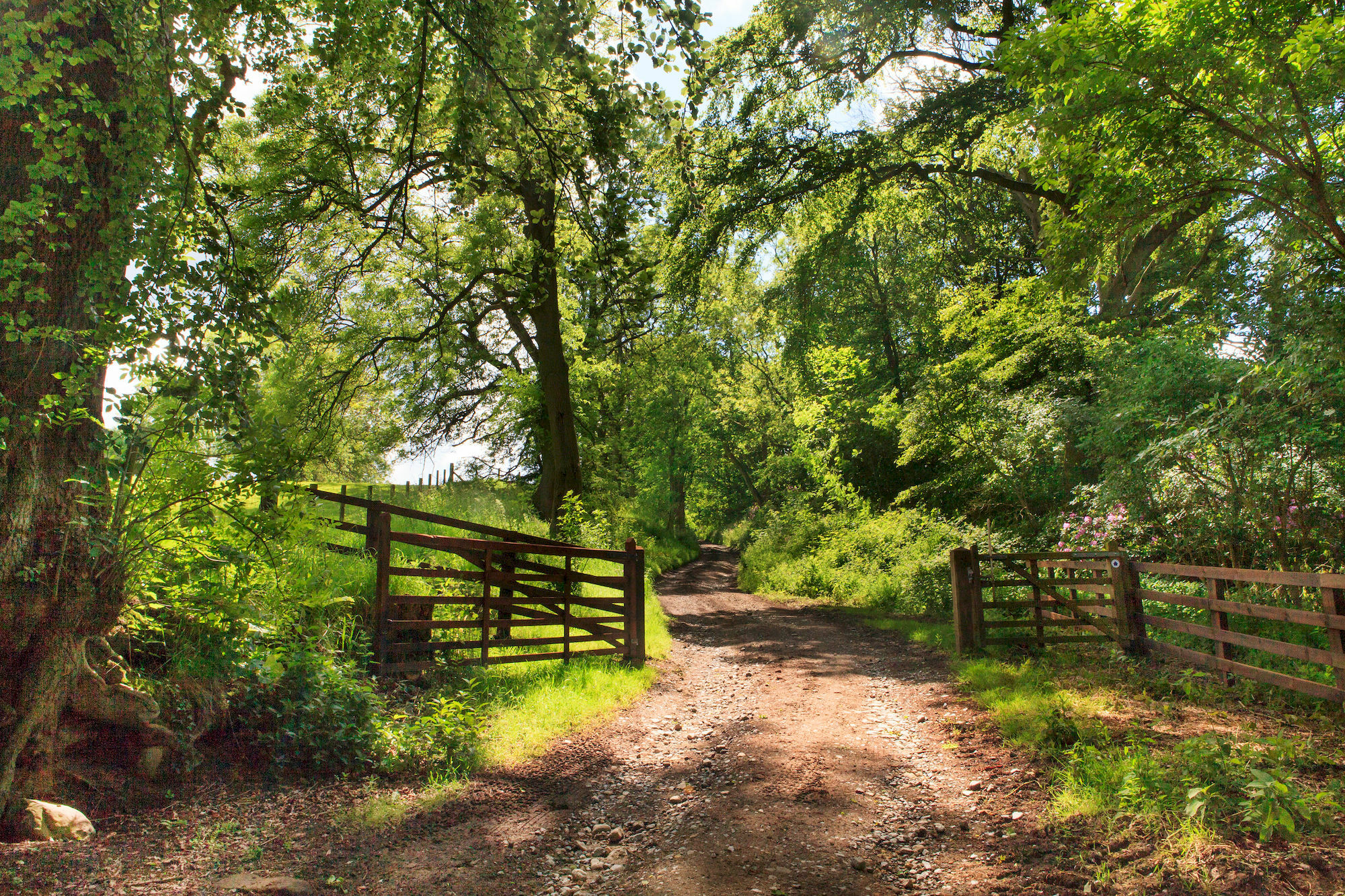 מלון אוזמות'רלי Woodlands Farm מראה חיצוני תמונה